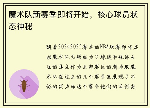 魔术队新赛季即将开始，核心球员状态神秘