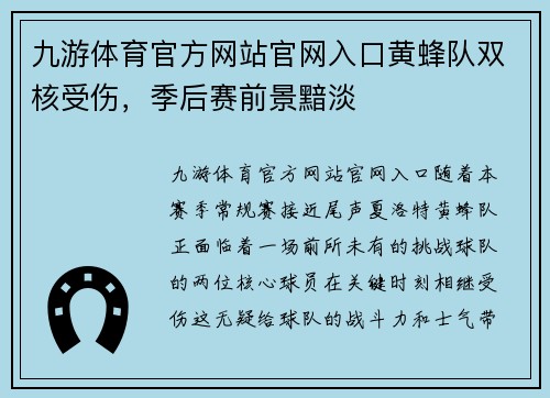 九游体育官方网站官网入口黄蜂队双核受伤，季后赛前景黯淡